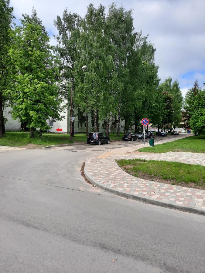 Luena Apartment Jelgava Ngoại thất bức ảnh